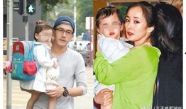 杨妈妈现状爆料现场视频,真实情况令人震惊